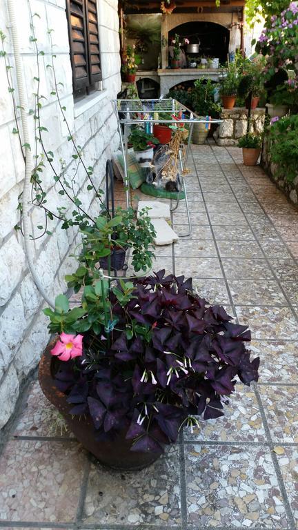 דוברובניק Guesthouse Ivona חדר תמונה