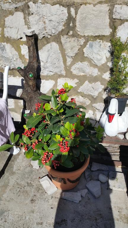 דוברובניק Guesthouse Ivona חדר תמונה